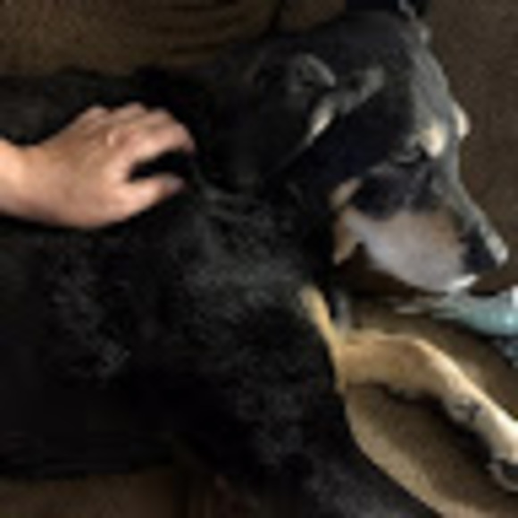 Meet your Posher, Colleen - Picture 1 of 1